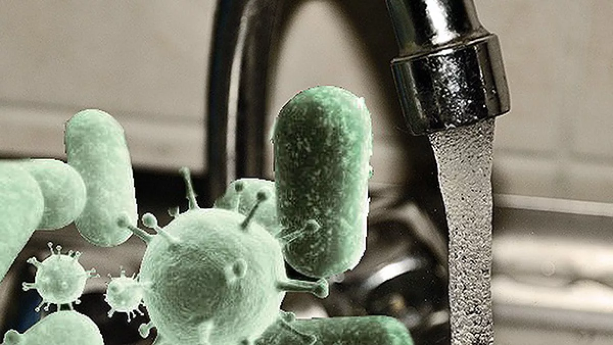 Микроорганизмы питьевой воды. Инфекции в воде. Микроорганизмы в воде. Бактерии в воде. Загрязнение микроорганизмами.